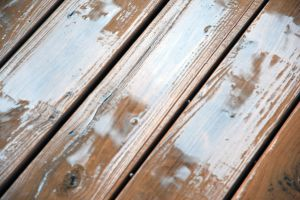 1209010_wet_wood
