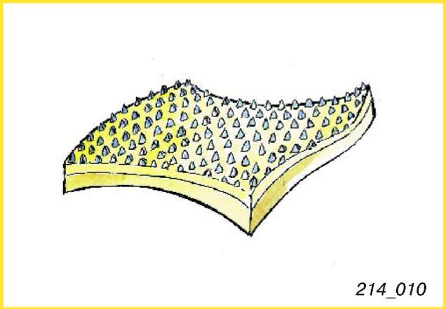 214-Podgotovka-19
