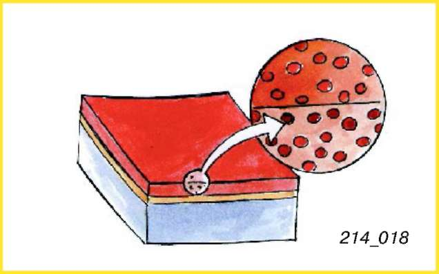 214-Podgotovka-30