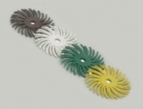 Bristle2