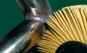 Bristle7
