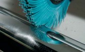 Bristle9